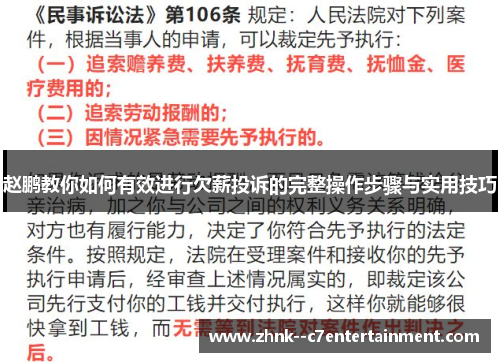 赵鹏教你如何有效进行欠薪投诉的完整操作步骤与实用技巧